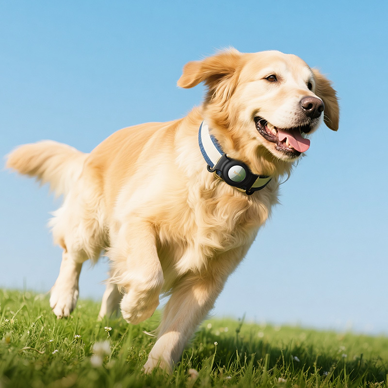 E91C Traceur GPS pour Chien et Chat - Collier de Localisation Intelligent – Image 8